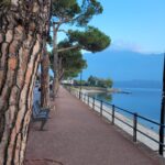 WhatsApp Image 2023-01-22 at 09.06.22 (7)